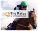 ayr racecourse